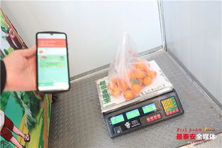 泰安首座24小時(shí)智能無(wú)人果蔬店落地泮河社區(qū)，新鮮水果零售開(kāi)啟智慧新篇章