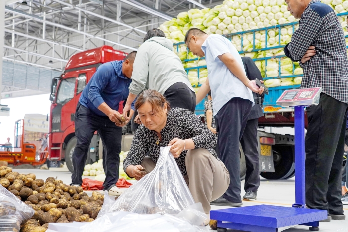 中國農批宿遷市場盛大開業，新鮮食材與水果零售引領健康生活新風尚